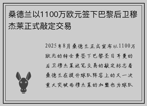 桑德兰以1100万欧元签下巴黎后卫穆杰莱正式敲定交易